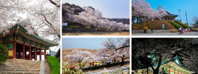 韩国首尔和江陵，首尔是首都，而江陵是升华所有浪漫的地方